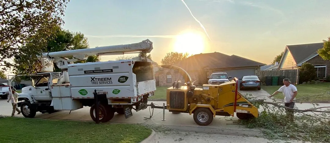 Xtreem Tree Services crew chipping a removed tree at a jobsite